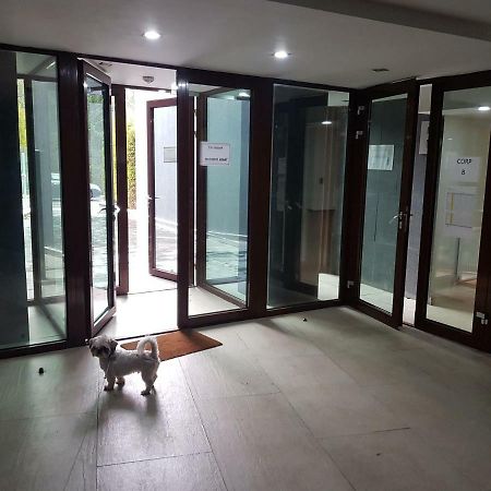 Apartment Poiana Brașov Zewnętrze zdjęcie