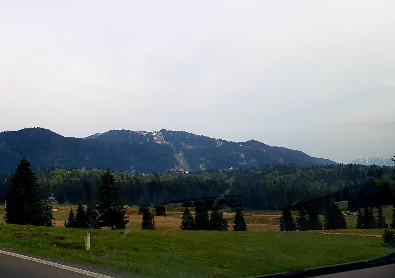 Apartment Poiana Brașov Zewnętrze zdjęcie