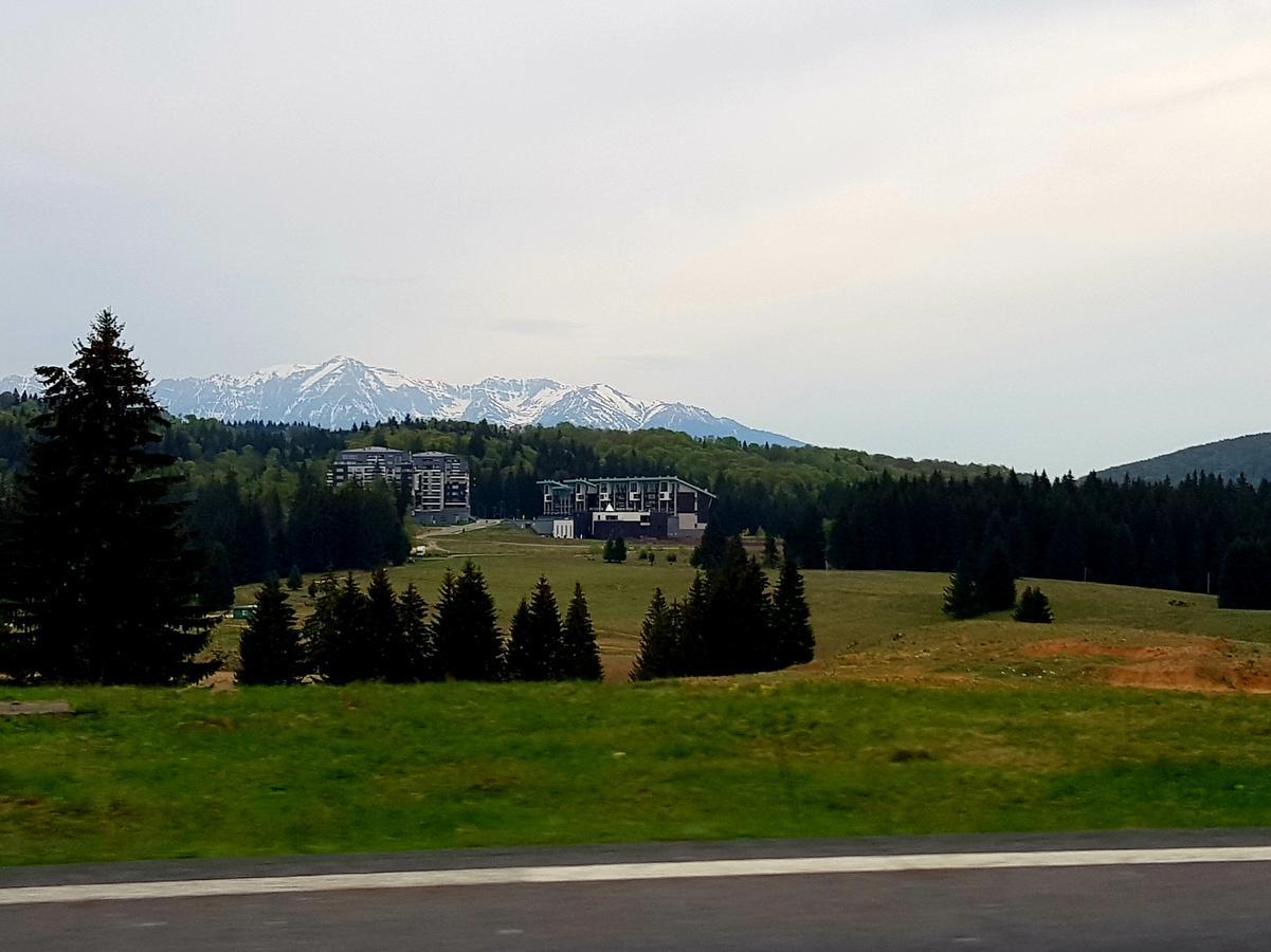 Apartment Poiana Brașov Zewnętrze zdjęcie