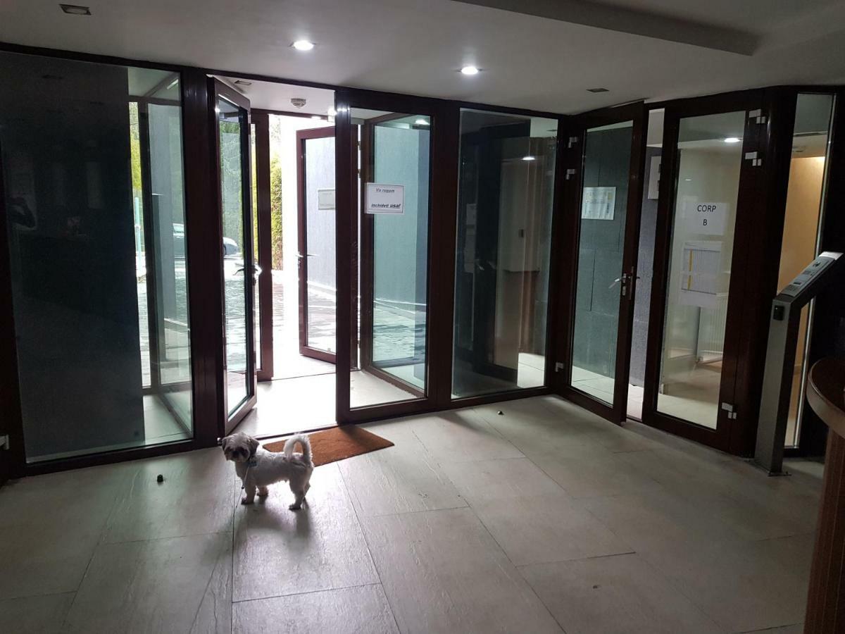 Apartment Poiana Brașov Zewnętrze zdjęcie